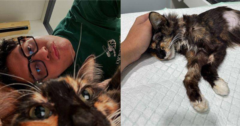 Instagram.com/wordfangs